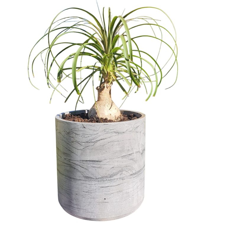 Plant Pot - X Large