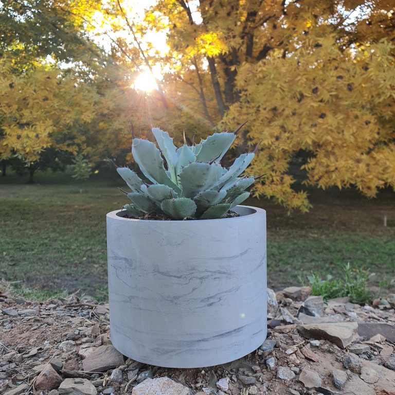 Large plant pots