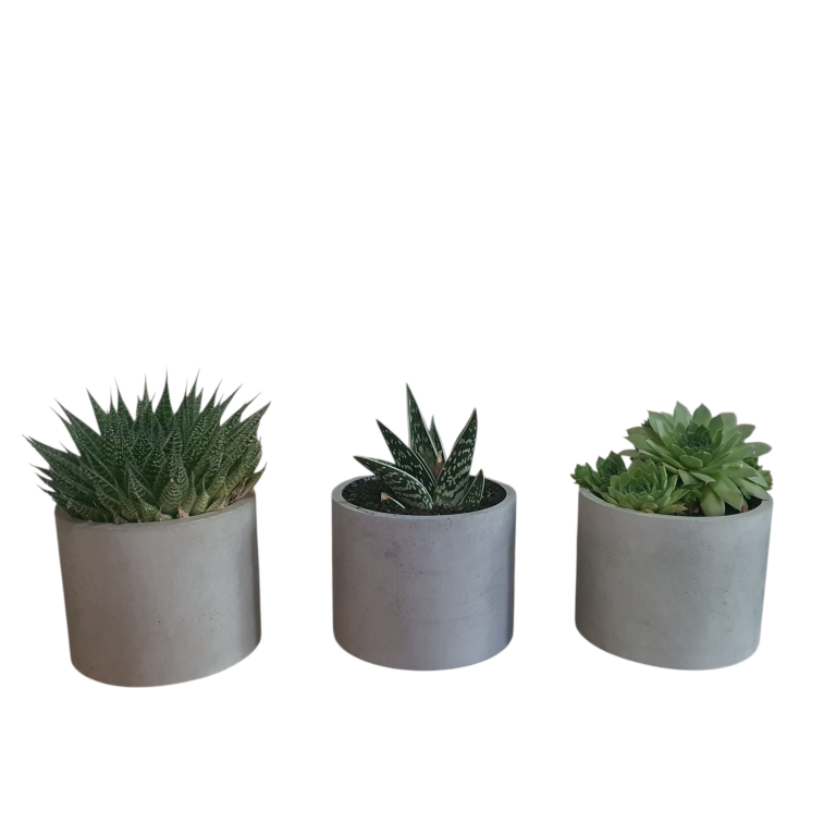 Large Plant Pots - Set x 3